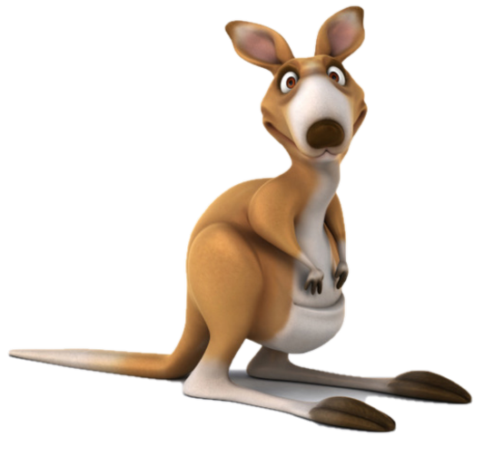 Kangaroo Image